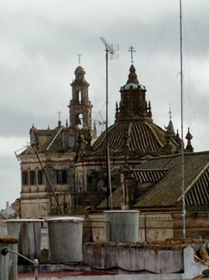 Fernan Caballero Carmona (Seville)